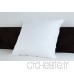 Badenia Bettcomfort 03875430123 Trendline Comfort Oreiller 80 x 80 cm Blanc - B000SD45YQ